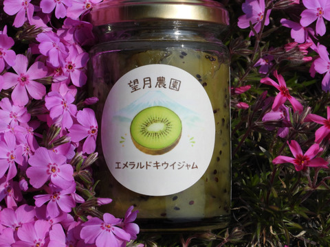 エメラルドキウイジャム（瓶詰品、内容量１４０ｇ、レモン果汁入り）