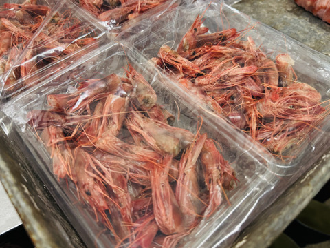 出汁専用 シマエビの頭だけ 500g