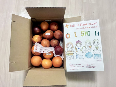 【食べチョクに初販売　初売り記念で通常3900円を3150円で】ブラッドオレンジ　家庭用5箱㎏　2026年４月末の出荷まで