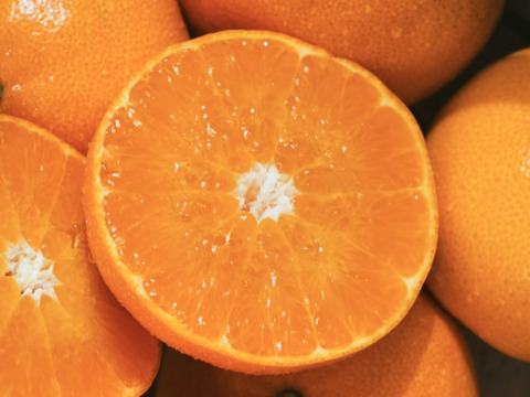 【贈答用】柑橘の大トロ【せとか 2kg】～とろける濃厚果実～