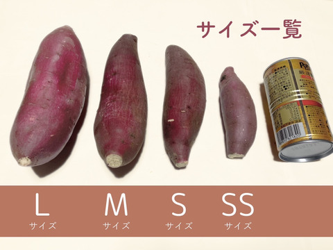 【新春福袋】贅沢３種食べ比べセット！栗かぐや・紅はるか・シルクスイート土付き3kg