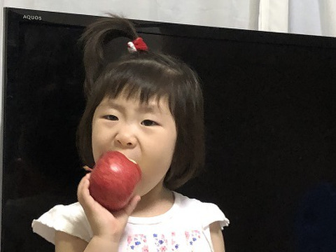 紅玉譲りの爽やかな酸味　お菓子作りなどにも　青森県産　サンジョナゴールド　家庭用　約5キロ