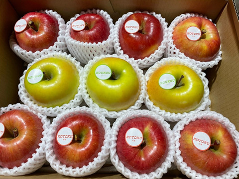 【先行予約】蜜入り！贈答用高徳＆ぐんま名月3キロ（11個〜12個）