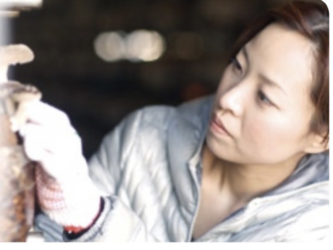 【ラーメンのトッピングに】徳島県産乾燥きくらげスライス25g×4