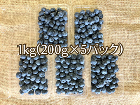【2025年岩手県産】生ブルーベリー1kg【200g×５パック】通常販売