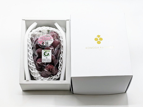 【プレミアムギフト】クイーンニーナ約600g×1房 長野県認証/特別栽培同基準（信州の環境にやさしい農産物認証50）【冬ギフト】