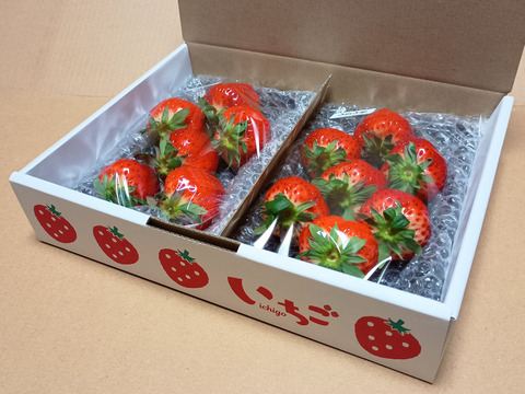 【完熟・大玉】真っ赤で芳醇な甘さ『さちのか』（250g×2パック）