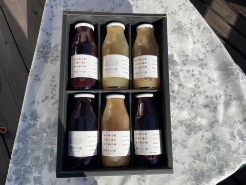 【福袋】【冬ギフト】ワイン用ぶどうで作ったジュース　4品種各1本+おまかせ品種2本　飲み比べセット180ml✖️6本【熨斗対応可】