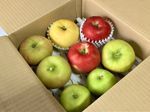 りんご いろいろBOX （2㎏）
