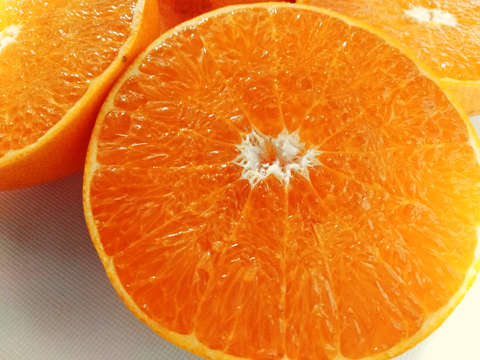 【家庭用】せとか 5kg トロ～リ食感！柑橘の大トロ♡高級柑橘♫愛媛みかん！！