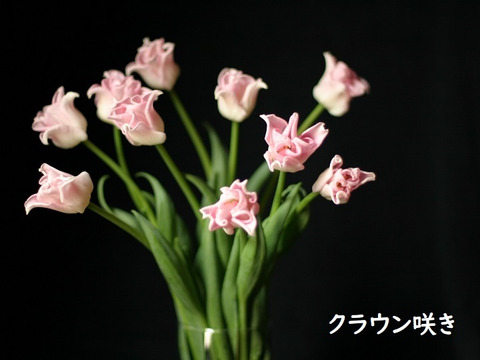 今だけ500円off 3月11日 金 発送 変わり咲きチューリップ切り花 10本 北海道 沖縄県配送不可 新潟県産の花 植物 食べチョク 産地直送 産直 お取り寄せ通販 農家 漁師から旬の食材を直送