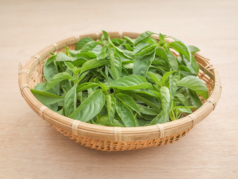 採れたて！新鮮ライムバジル 100g 【農薬化学肥料不使用】