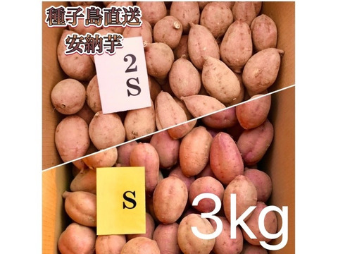 【絶品】aimo農園｜種子島産 安納芋 2S&S 混合3kg(箱別)