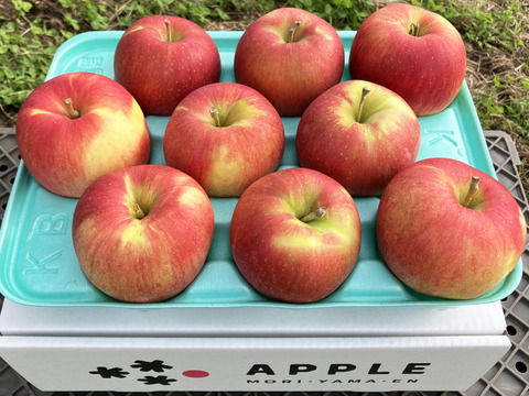 完売御礼🍎シナノスイート🍎3kg 農薬半減栽培✨やさしい甘さとシャリシャリ食感😆 キズなし良品🎁 化学肥料不使用 青森県特別栽培認証取得 旬 葉とらずりんご