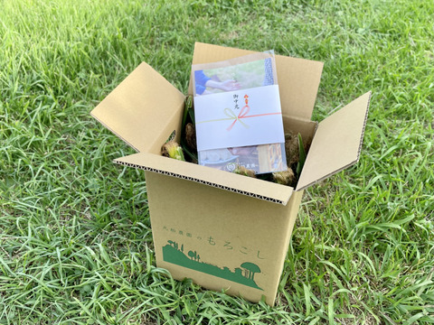 完熟しました！濃厚な甘み！山育ちのトウモロコシ10本