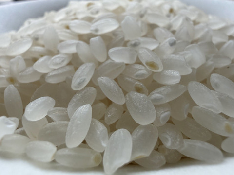 【WBC応援企画】〒016-0017大谷姓90%の「栗山」からお届けする特別米（16合＋1合＝17合）あきたこまち2.55kg ギフト/熨斗対応！