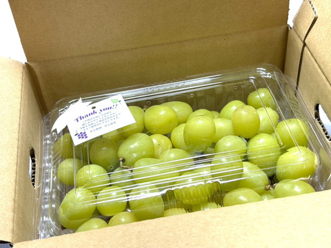 家庭用『完熟シャインマスカット　粒』1kg