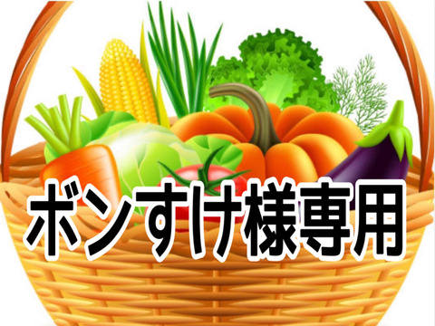 ボンすけ様専用