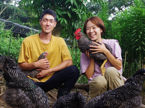 放し飼い鶏の長期育成肉「俺のすべて」＜カット＞