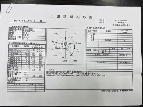 在庫限りで終了！農薬不使用にんにく！