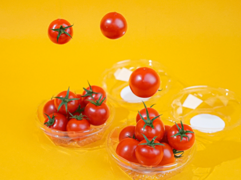 【甘さぎゅっ♪】極上濃厚フルーツトマト「ポモロッサ」お試し用（2パック＋おまけ付）