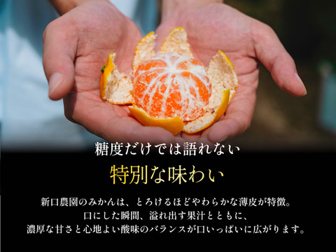 愛媛みかんの老舗厳選【濃厚な甘みと程よい酸味】みかん 2.5kg【愛媛県川上産】【冬ギフト】