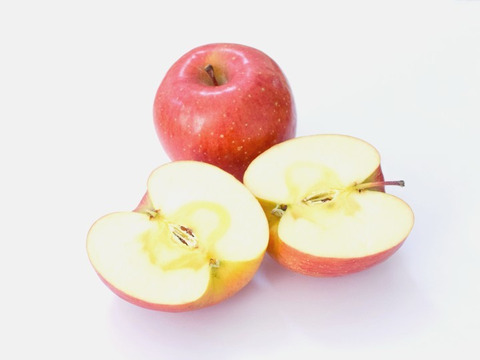 【果物王国 山形から】完熟りんごをそのままジュースに！100％ストレートりんごジュース1,000mlx６本