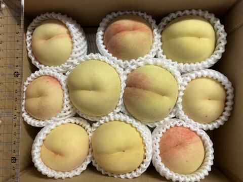 甘露な桃　桃水(白桃)　2kg　ご家庭用　山形県産　6〜13玉入