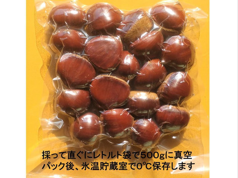 栗 ぽろたん Mサイズ １ ５ｋｇ ５００ｇ ３パック 焼栗 栗ご飯が簡単に 鬼皮 渋皮がポロット剥ける 大分県産の栗 食べチョク 産地直送 産直 お取り寄せ通販 農家 漁師から旬の食材を直送