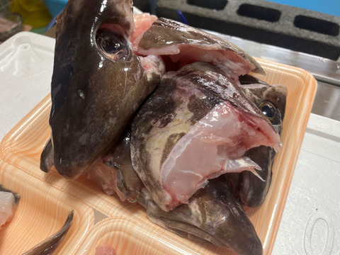 【今が旬！数量限定】　タラのあら汁用あら　(頭、カマ、ハラス)　約2ｋｇ