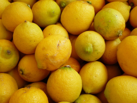 【広島県産】瀬戸田しまなみレモンAB混合品(10kg) 栽培期間中農薬不使用