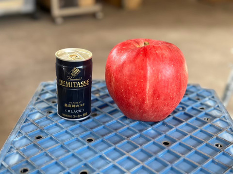 🍎希少品種🍎世界一約3キロ 6～7玉入り 青森りんごID168643