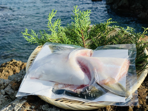 獅子島産ブリ 養殖 カマ 1対 鹿児島県産 食べチョク 農家 漁師の産直ネット通販 旬の食材を生産者直送 獅子島産ブリ 養殖 カマ 1対 鹿児島県産 食べチョク 農家 漁師の産直ネット通販 旬の食材を生産者直送