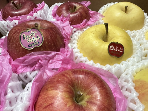 パリッと！ジャワッと！食べくらべる箱「白ふじ」×「あいかの香り」約3kg箱　8〜10玉