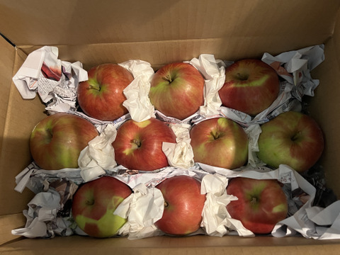 【収穫日発送・間もなく終了】サンつがる　家庭用　5キロ箱【葉とらず】JA基準より60％減の低農薬栽培