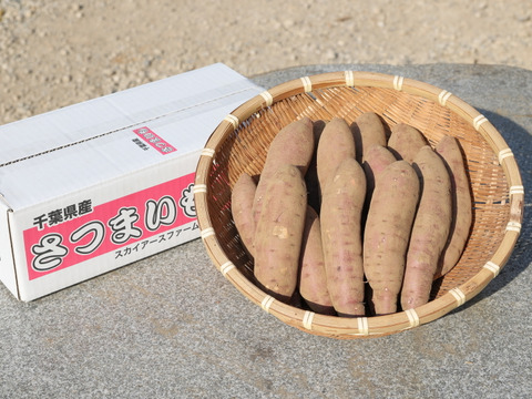 長期熟成！甘さ濃厚！千葉県産さつまいも【べにはるか】 約３kg サイズ色々の混載 鮮度を保つため土付き！