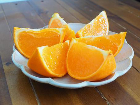 とろける甘さ せとか2kg