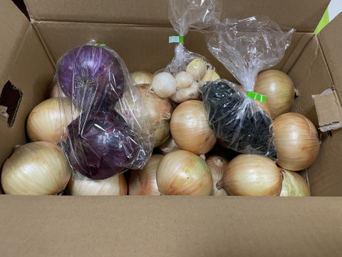 大好評，地層が違う淡路島、大玉、新玉ねぎ、七宝早生(風袋込み6キロ)