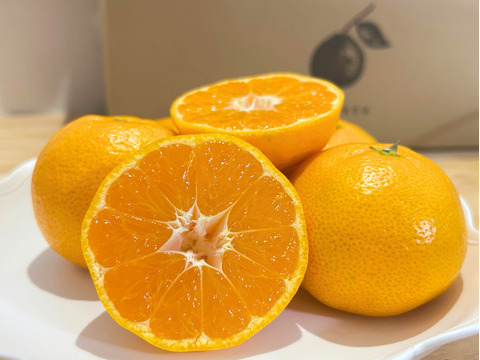 有田みかん　樹上完熟みかん　5キロ（箱込み）　Sサイズ 家庭用　【上野早生】極早生みかん