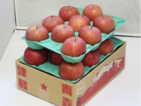 【10月上旬ころ収穫】早生ふじ (ひろさきふじ) 冬のふじが待ちきれない方へ！ 家庭用 5kg (12〜26個)