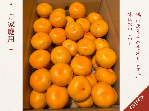 有田みかん　樹上完熟みかん　3キロ（箱込み）　Sサイズ 家庭用　【上野早生】　極早生みかん