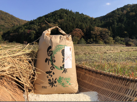 ❤️特別栽培令和6年新米10kg 超大粒“米王”‼️甘くてモチモチ
