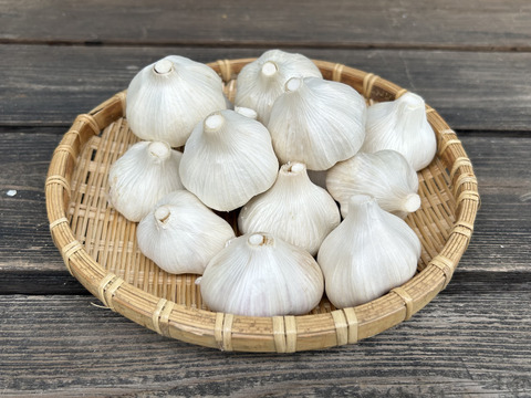 【再入荷・出店記念・数量限定】農薬・化学肥料不使用！にんにく(福地ホワイト六片)MS混在・500g
