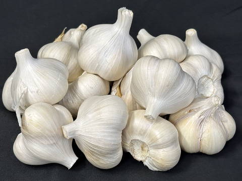 ワレ、カケあり北海道十勝鎌田農園の至高にんにく　1ｋｇ