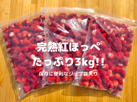【静岡県産 土耕栽培】濃く甘 冷凍いちご〈紅ほっぺ〉３ｋｇ