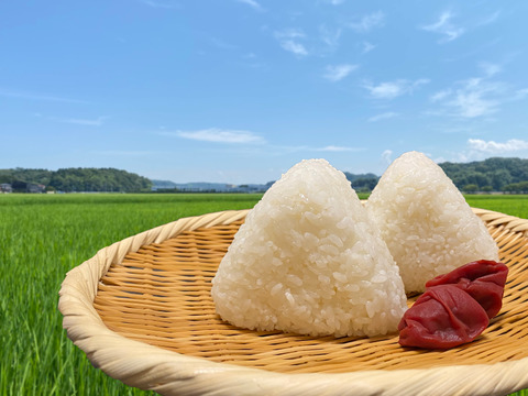 【農薬・化学肥料不使用】 コシヒカリ白米10㎏<有機JAS認証(転換期間中)>『加賀米野菜基地』