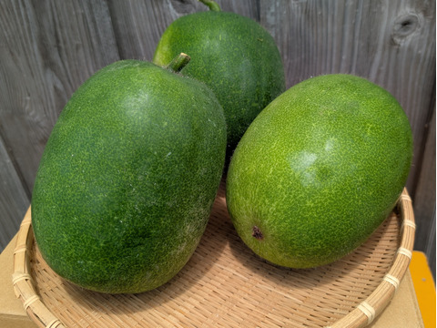 《トロトロスープに！》こばさんちのミニ冬瓜３KG ２~３玉 長崎県五島列島産 農薬化学肥料不使用　とうがん