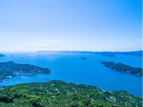 【柑橘の大トロ！】玉宝せとか（２kg×３箱）（ご家庭用）※３月上旬発送