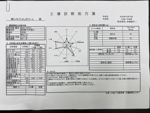 在庫限りで終了！農薬不使用にんにく！