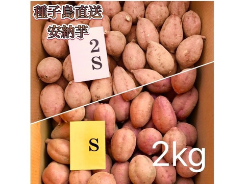 【絶品】aimo農園｜種子島産 安納芋 2S&S 混合2kg(箱別)